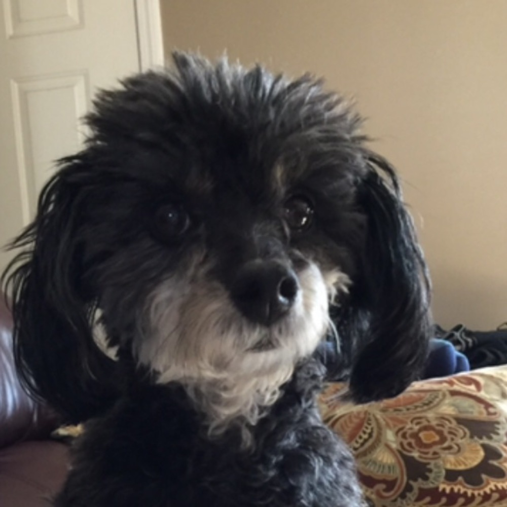 Meet your Posher, Jeannine